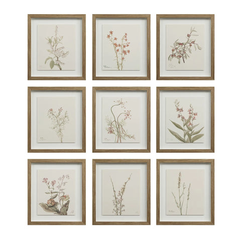 Crema - Wall Decor(Set of Nine) Renwil
