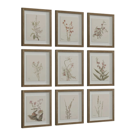 Crema - Wall Decor(Set of Nine) Renwil