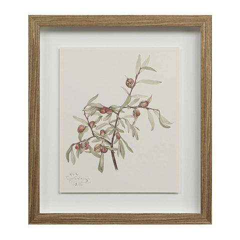 Crema - Wall Decor(Set of Nine) Renwil