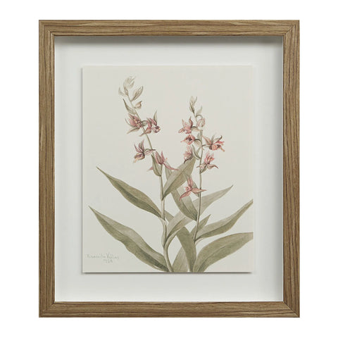 Crema - Wall Decor(Set of Nine) Renwil