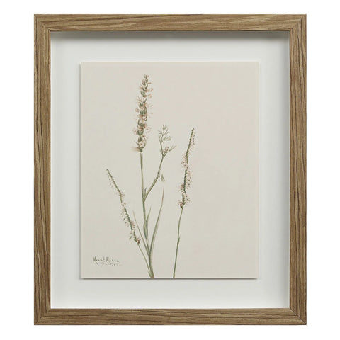 Crema - Wall Decor(Set of Nine) Renwil