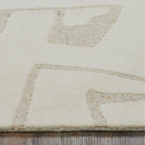 Cosmos(RCOS-21151-57) - Hand Tufted Rug Renwil (5'3"x7'3" FT)