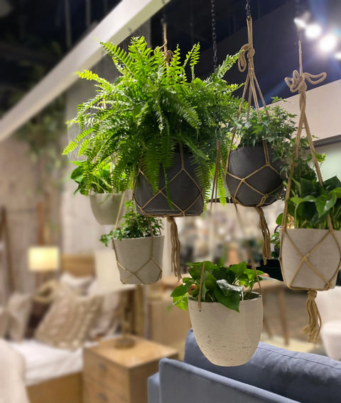 Craft Small Hanging Pot With Netting (Charcoal Grey) -Planter