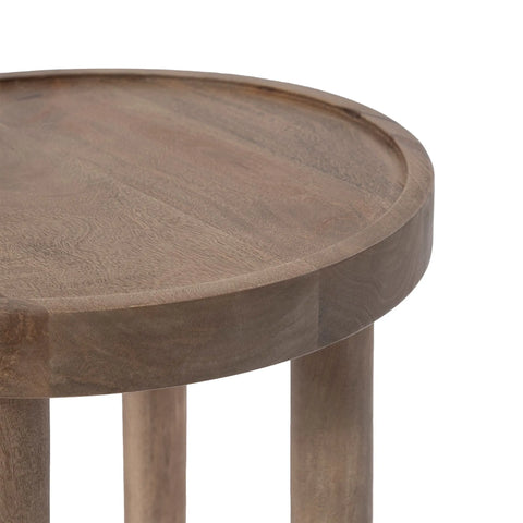 Cicoria - End Table Renwil