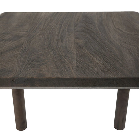 Clusia - End Table Renwil