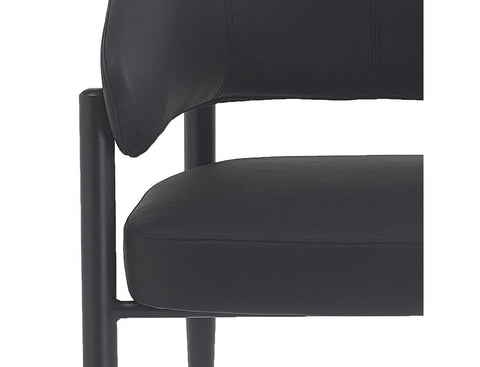 Bronson Black - Dining Chair WW (Set Of Two)