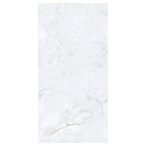 24" x 48" Invisible Ice Matte Tile