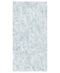 24" x 48" Sea Form Polished Tile