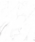 24x24 polished tile