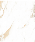 24x24 polished tile