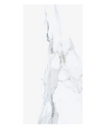 24x48 polished porcelain tile