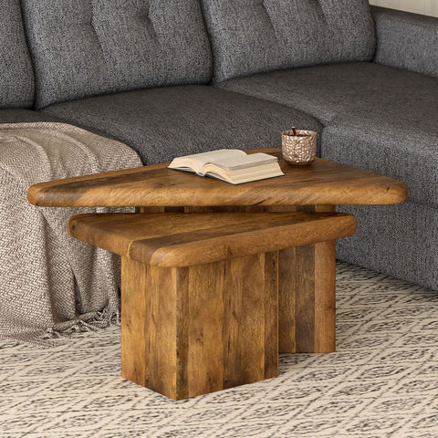 Draco - Coffee Table (Set Of Two) WW