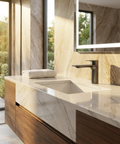 Alpha Brushed Black Chrome Single Hole Bathroom Faucet