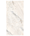Argenta porcelain tile 24 x 48