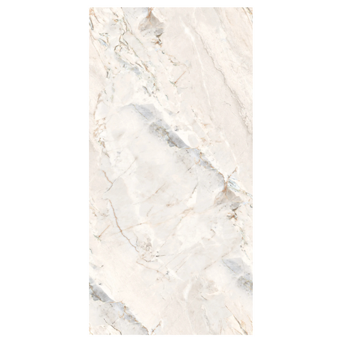 Argenta porcelain tile 24 x 48