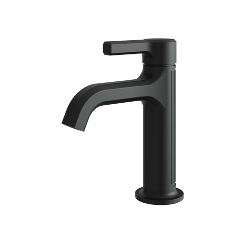 Ariston Black Single Hole Bathroom Faucet