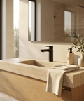 C67 Black Single Hole Bathroom Faucet