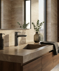 C67 Brushed Black Chrome Single Hole Bathroom Faucet 