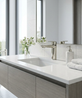C67 Polished Nickel Single Hole Bathroom Faucet