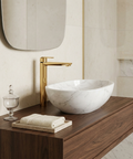 C67 Tall Polished Gold Single Hole Bathroom Faucet 
