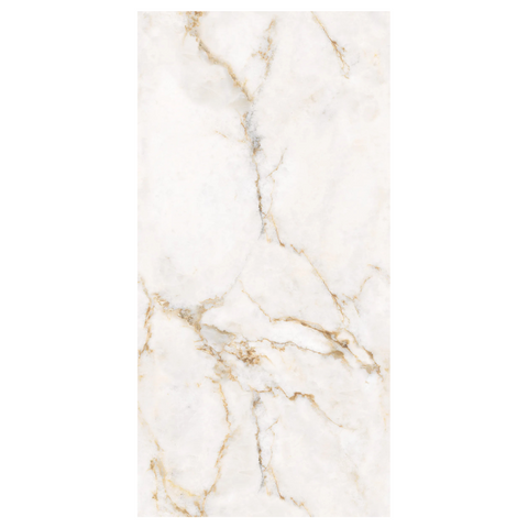 Claret Beige porcelain 24 x 48