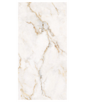 Claret Beige porcelain tile 24 x 48