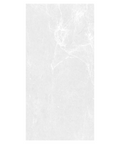 24x48 polished porcelain tile