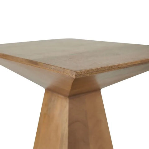 Garnett Light Brown Mango Wood End Table-2
