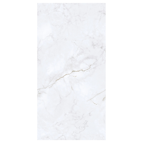 24" x 48" Invisible Ice Matte Tile