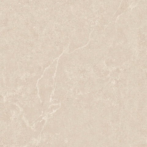 24x24 matte porcelain tile