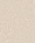 24x24 polished porcelain tile