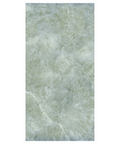 Nautil Reef Polished 24" x 48" Tile 