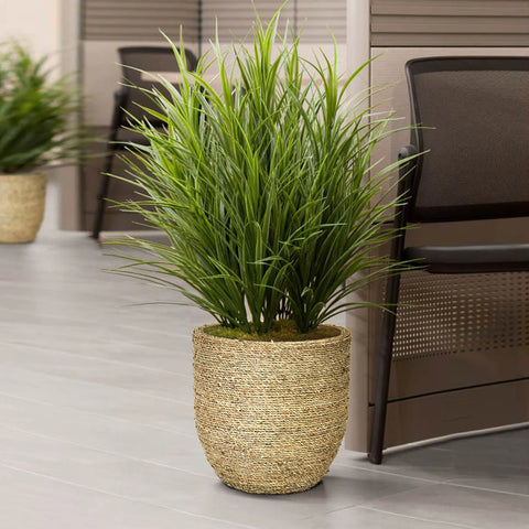 Nature Grass & Concrete Pot -Planter