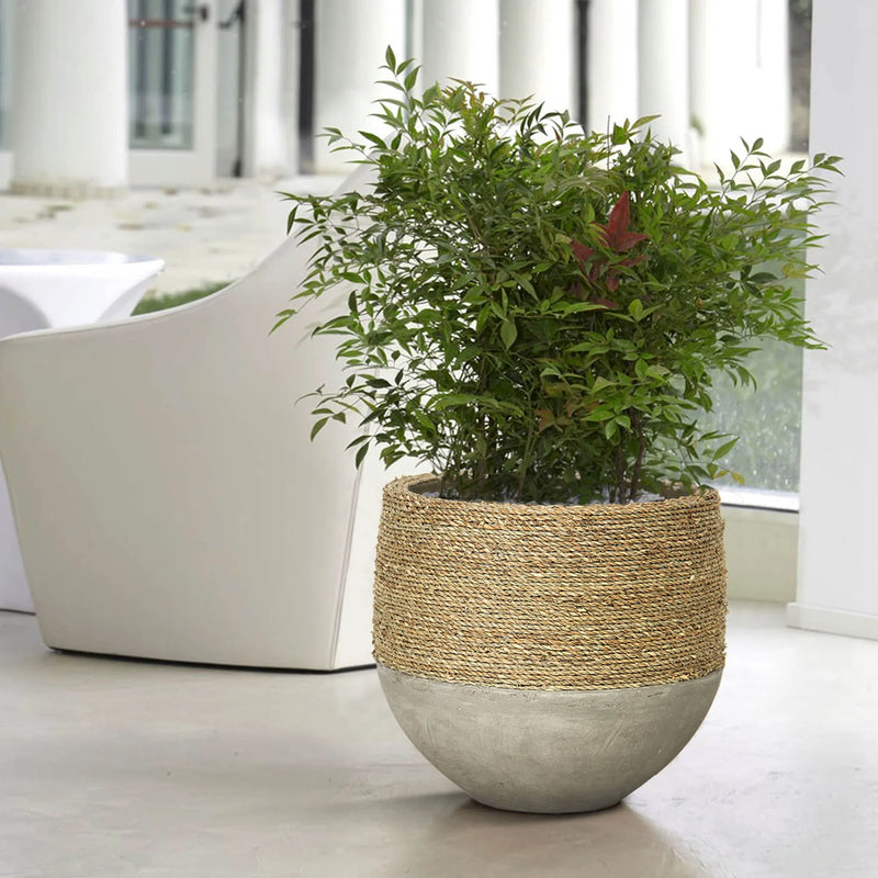 Nature Mixed Grass & Concrete Pot -Planter