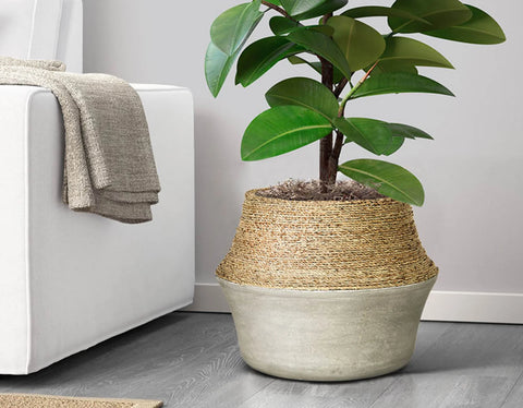 Nature Milk Jug & Concrete Pot -Planter