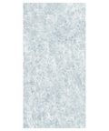Sea Form Polished 24" x 48"  Tile
