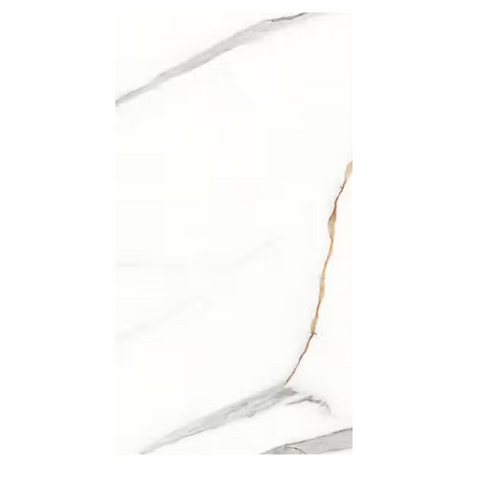 Bargini Fenta Matt 24"x48" Porcelain Tile -$6.57 Sq.Ft (Sold per box) Planchers1867