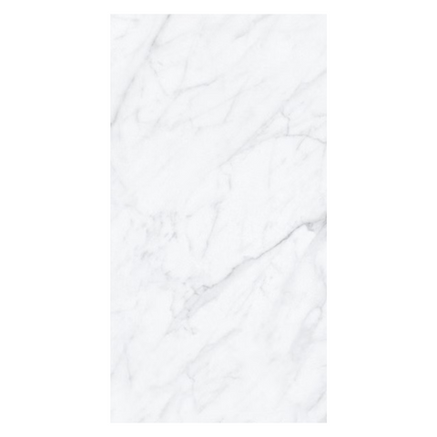Carrara Matt 24"x48" Porcelain Tile -$6.57 Sq.Ft (Sold per box) Planchers1867