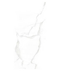 Delicato Matt 12 x 24 Porcelain Tile