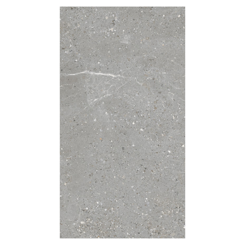 Monza Storm Matt 12"x24" Porcelain Tile -$6.57 Sq.Ft (Sold per box) Planchers1867