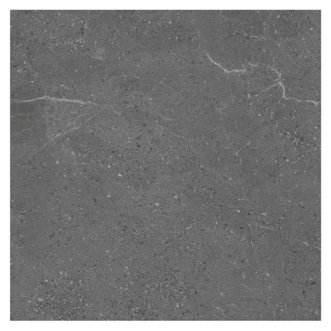Monza Coal Polished 24"x24" Porcelain Tile -$6.57 Sq.Ft (Sold per box) Planchers1867