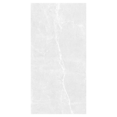 Dove Scales Polished 24"x48" Porcelain Tile -$3.79 Sq.Ft (Sold per box)