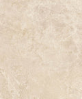 Dozza_Cream_Matt_24_x_24_Porcelain_Tile