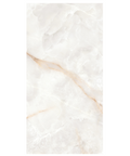 polished porcelain floor tile