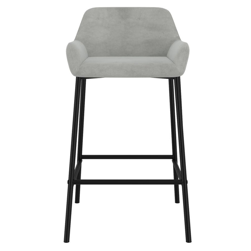 Baily Grey - Counter Chair WW (Set Of Two)