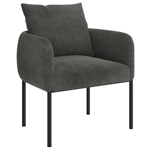 Petrie Charcoal -Accent Chair WW