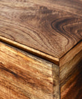 Ojas Natural Mango Wood End Table-5