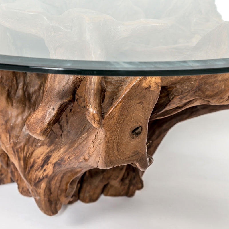 Natura Round Root 42” - Coffee Table SIF